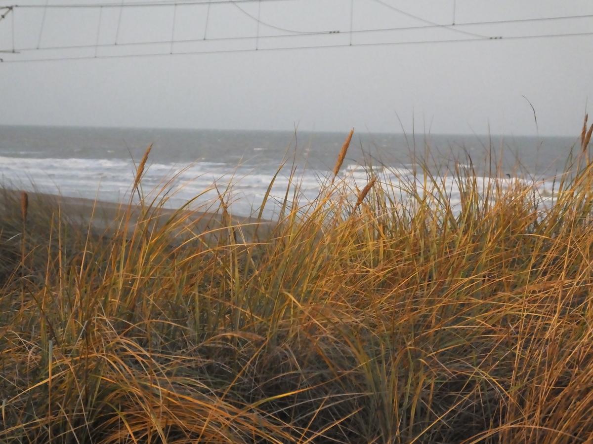 Sable D'O -Vlak Aan De Zee- Bed & Breakfast Mariakerke  Bagian luar foto